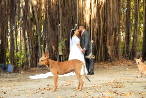 Jamaica Wedding Photographer