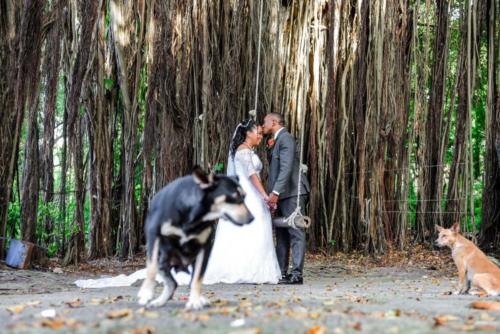 Jamaica Wedding Photographer