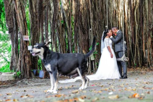 Jamaica Wedding Photographer