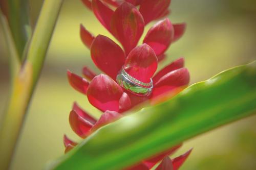 Jamaica Wedding Photographer